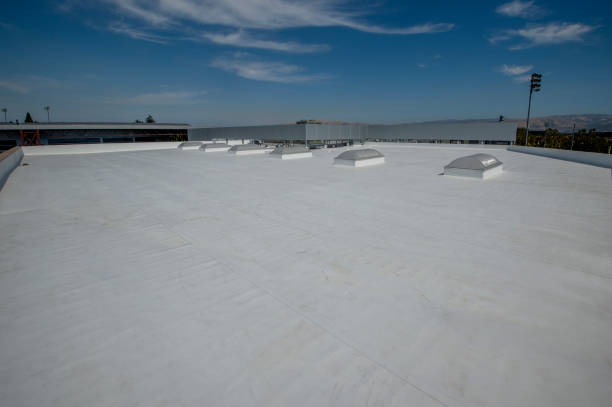 Best Skylight Installation and Repair  in Potomac Heights, MD