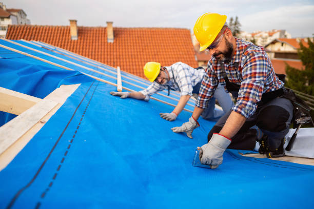 Best Chimney Flashing Repair  in Potomac Heights, MD